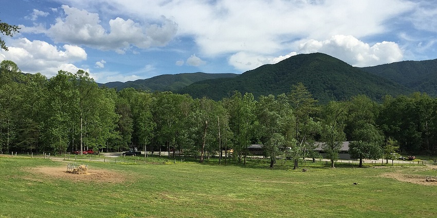 Escape into nature with lakeside camping, fishing, swimming, and stunning lake views.