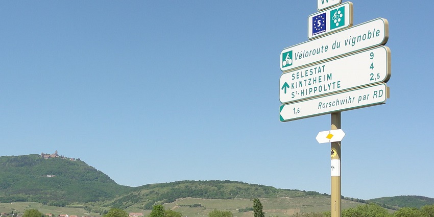 Scenic véloroute du vignoble in Rorschwihr, Bas-Rhin, showcasing the beautiful vineyards