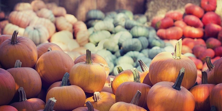 An Image of market at Avila Valley Barn visiting it is one of the popular things to do in Avila Beach.