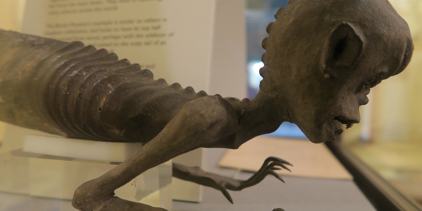 Explore Victorian-era exhibits and natural specimens at Brighton's fascinating Booth Museum.