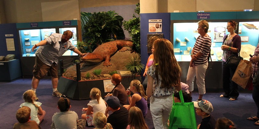 Explore life-sized dinosaur models and fossil displays that bring prehistoric Australia to life.