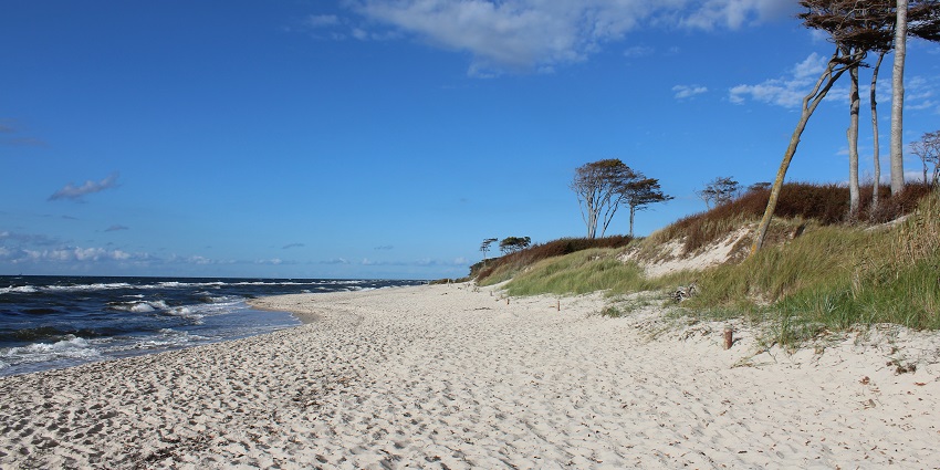 Stroll along the West strand beach and enjoy stunning sunsets, one of the best things to do in Portush