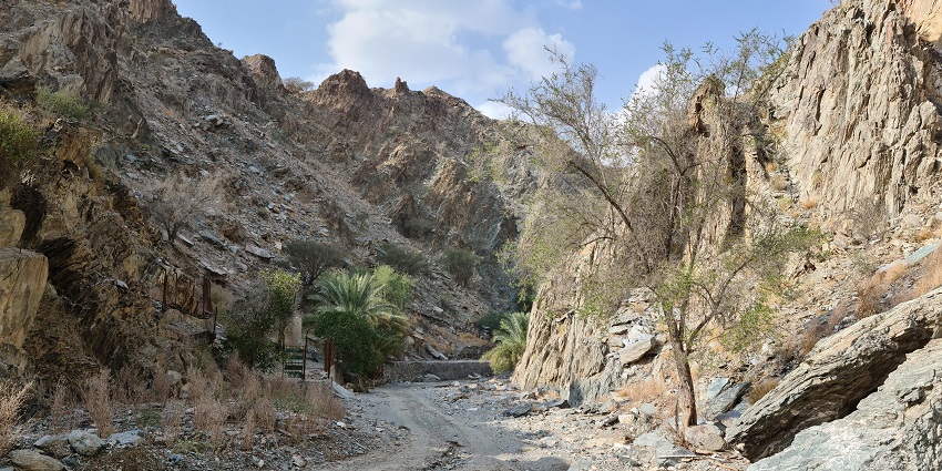 The elegant Wadi Tayyibah just after rain with a barren landscape beneath a cloudy sky.