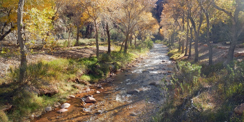 Enjoy the peaceful Angels Creek Trail – one of the best things to do in the Angel's Camp.