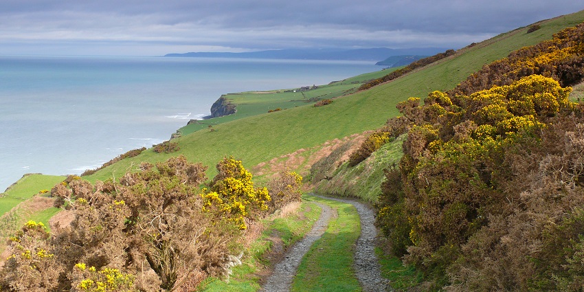 Exploring the Ceredigion Coast Path, one of the best things to do in Aberystwyth
