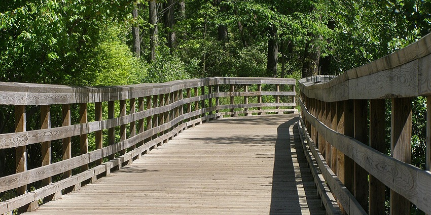 Stroll the peaceful SIU Campus Lake Trail - one of Carbondale’s best outdoor escapes.