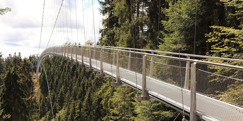 Cross the Wildline Suspension Bridge for views of the Black Forest treetops and mountains.