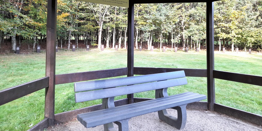 An image showing Bois de la Paix, one of the best things to do in Bastogne.