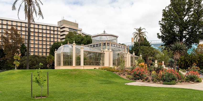 An image showing the Adelaide Botanic Garden, a famous thing to see in Adelaide in June.