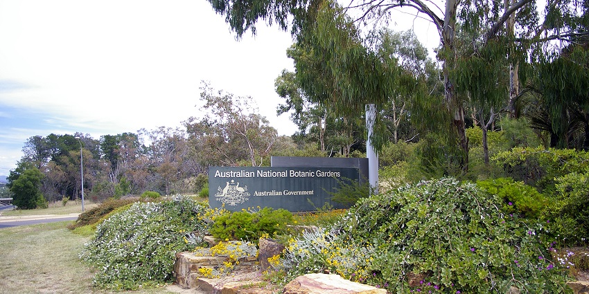 Things to do in Canberra include exploring native plants and themed gardens nestled against Black Mountain in this peaceful retreat.