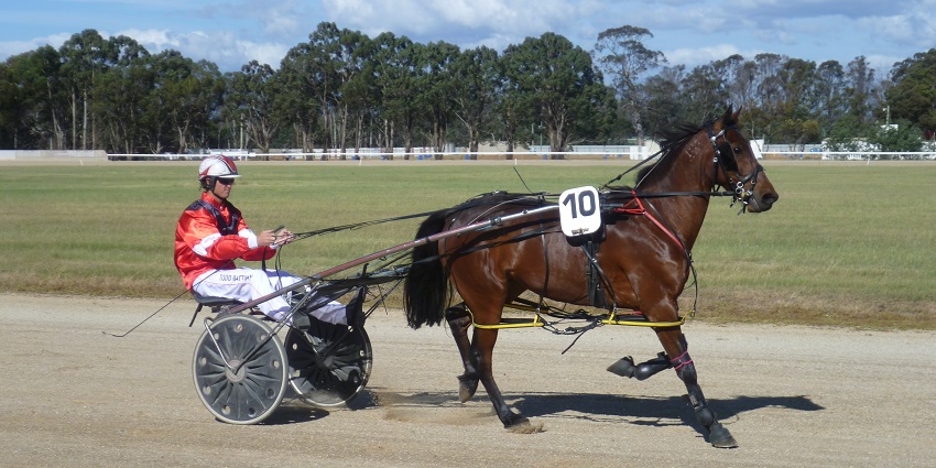 An image of a live horse racing event conducted at Swan Hill Trotting Club in Australia.