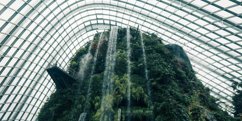 The view of Cloud Forest waterfall at Gardens by the Bay lit up beautifully against the evening sky.