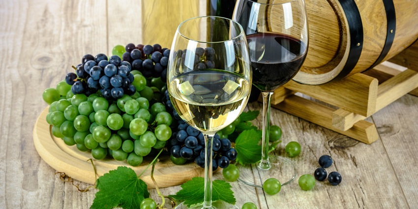 An image of a wine in Okanagan, among the top things to see in BC in March.