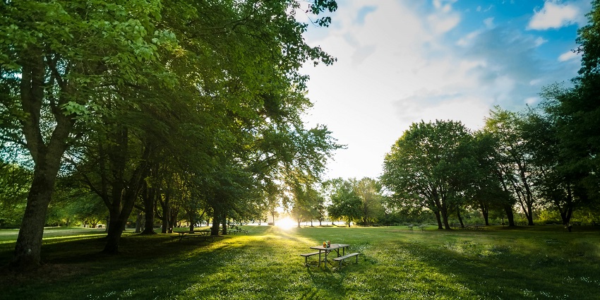 Barry Stegall Park, a tourist attraction in Swan Hills, is covered with trees and benches.