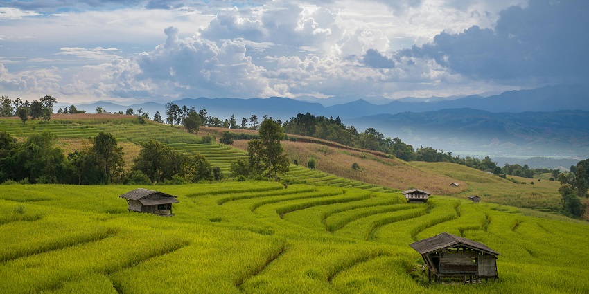 Aerial view of two wooden cottages built on a rice terrace in Belimbing Village, Tabanan