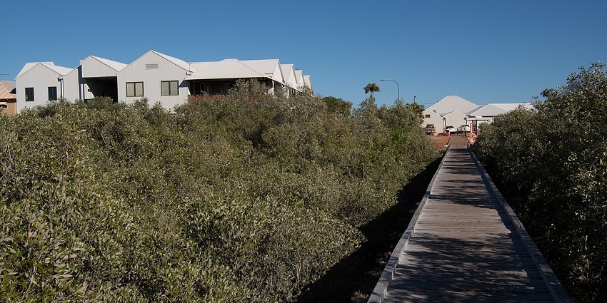 A broad walkway amidst lush greenery, located at Streeters Jetty in Broome, Australia.