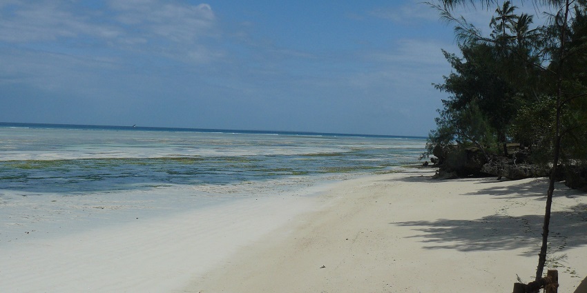Explore Zanzibar's spice tours and historic Stone Town, a must-see near Mauritius.