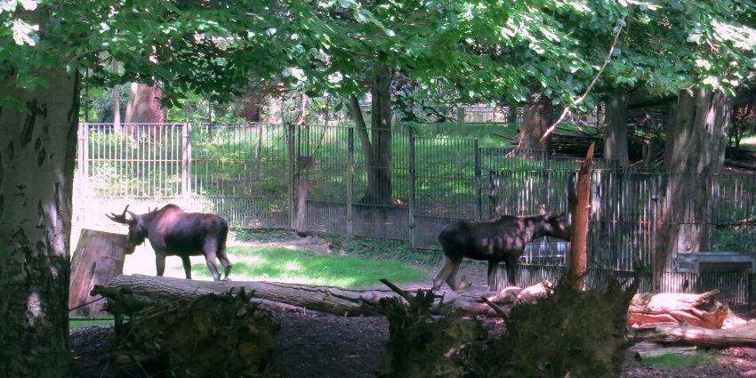 Zoo Rostock’s Darwineum exhibit features evolutionary exhibits and exotic species.