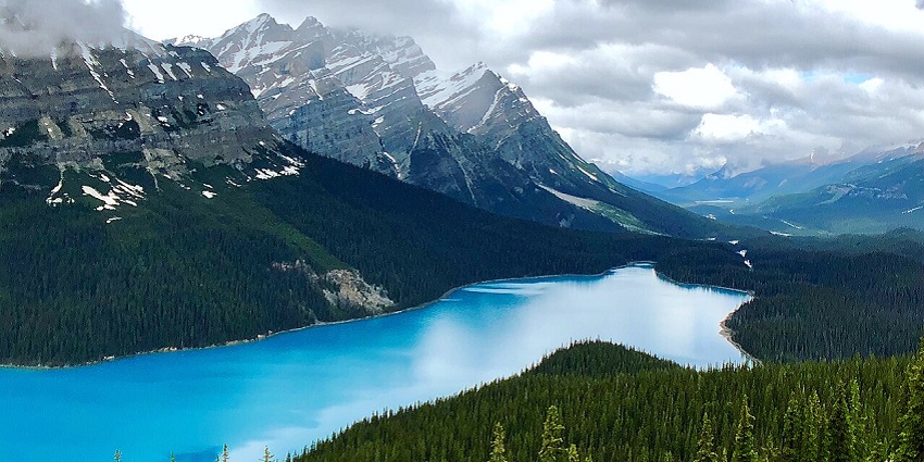 The incredible Peyto Lake is in the middle of greenery as seen from the Bow Summit on a cloudy day.