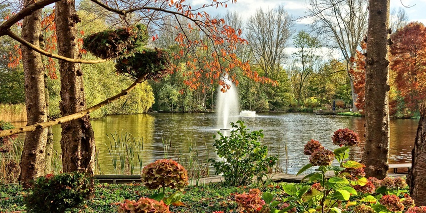 An image showing Malkenschoten Park, relaxing here is one of the top things to do Apeldoorn.