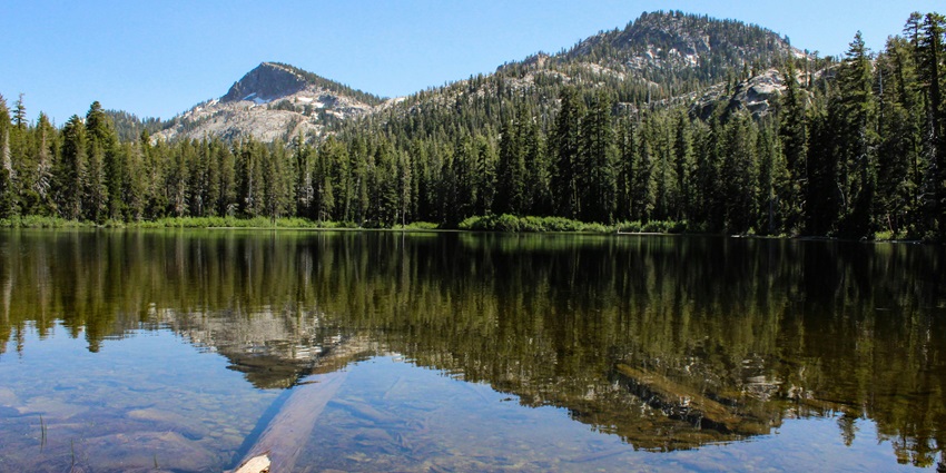 The peaceful Crystal Lake area is one of the best things to do in the Angeles National Forest.
