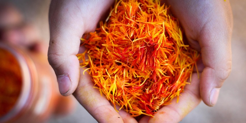 An image showing Spanish saffron threads, a famous thing to buy in Spain.