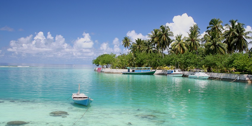 Addu Atoll Beach with a bright clear water body, unique rocks on the shore and trees