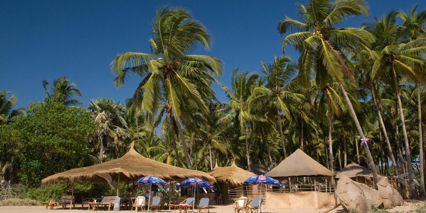 Agonda beach with sandy shoreline, tall palm trees, one of the top places to visit in Goa in February.