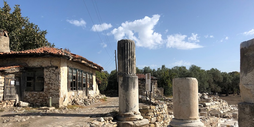 Abandoned homes and ancient columns amidst overgrown vegetation.