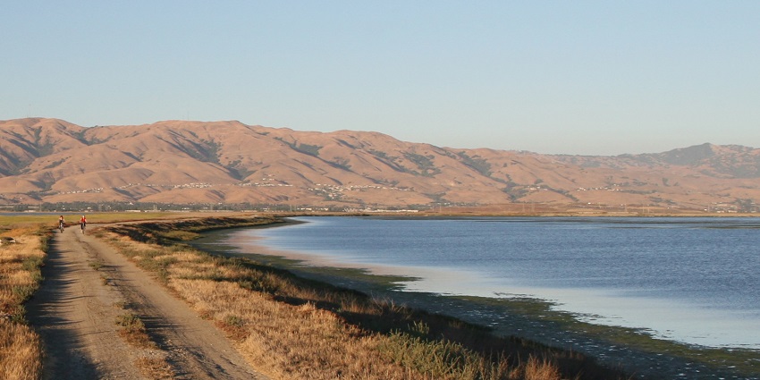 Alviso Marina County Park with a dirt trail, sandy shoreline, distant people cycling.