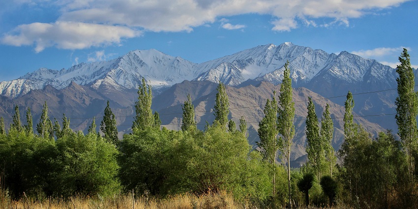 Which month is best to visit Ladakh? The April to June belt offers bright, clear skies.
