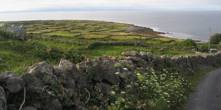 Ancient forts and Gaelic culture on rugged limestone islands in Ireland.