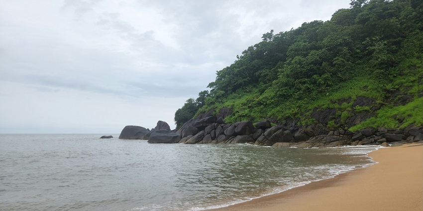 Popular Baga Beach in Goa with palm trees, beach clubs, and parasailing adventures.