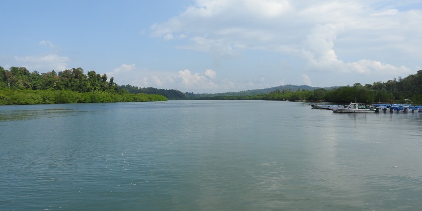 Baratang Island, surrounded by lush forest and boats on the sandy shore.