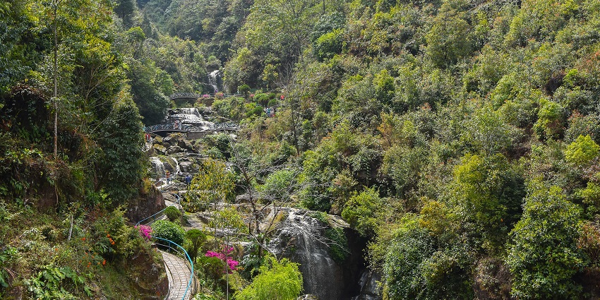 Barbotey rock garden in Darjeeling with water flowing on the rocks and bridges over the river, one of the top places to visit in Darjeeling in May.