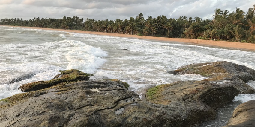 Bentota beach with sandy shores surrounded by lush palm trees, is one of the most scenic places to visit in Sri Lanka in December.