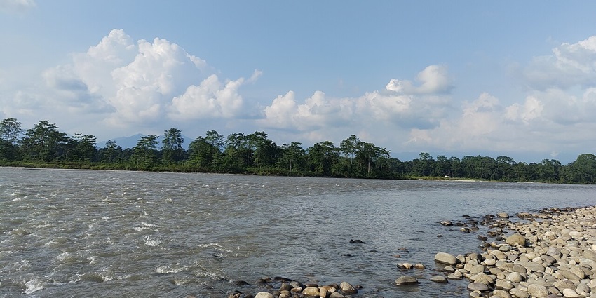 A river in Bhalukpong with rocks on the shores and tall green trees under the cloudy sky