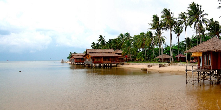 Peaceful beach scene on Bintan Island with palm trees and clear blue water