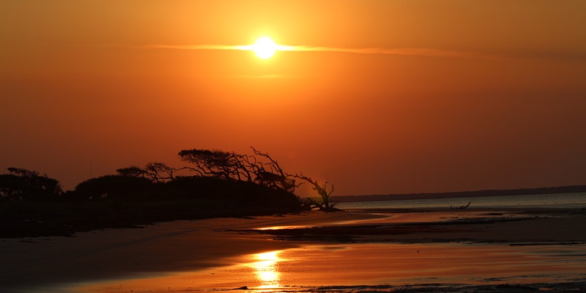 maritime forests and sandy shores of protected Blackbeard Island National Wildlife Refuge.