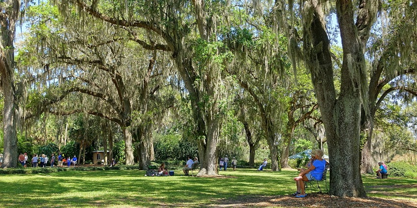 Refreshing atmosphere of Bok Tower Gardens with green grass plains, tall trees, Florida