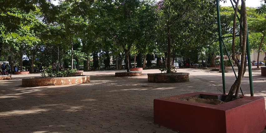 Peace park with tall green trees on a circular platform, distant people sitting.