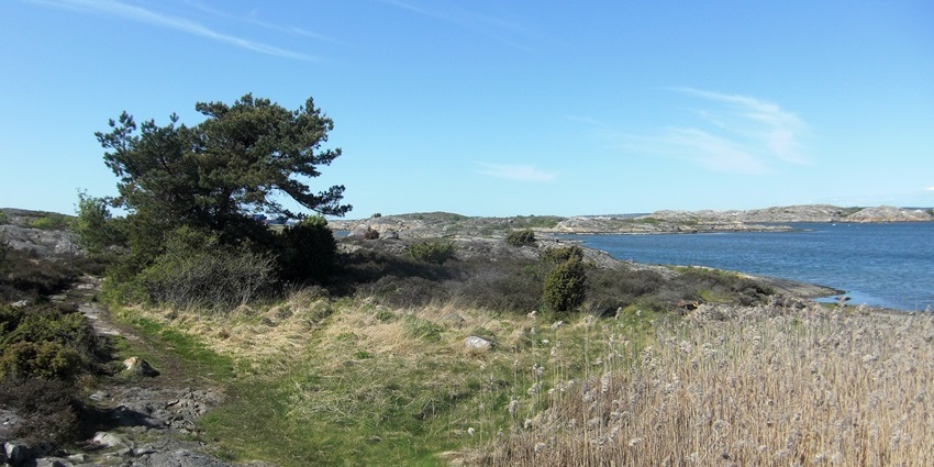 Experience island life with scenic trails, and traditional Swedish folk culture.