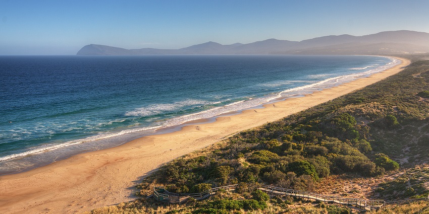 Enjoy gourmet food, wildlife, and dramatic sea cliffs on a day trip to scenic Bruny Island.