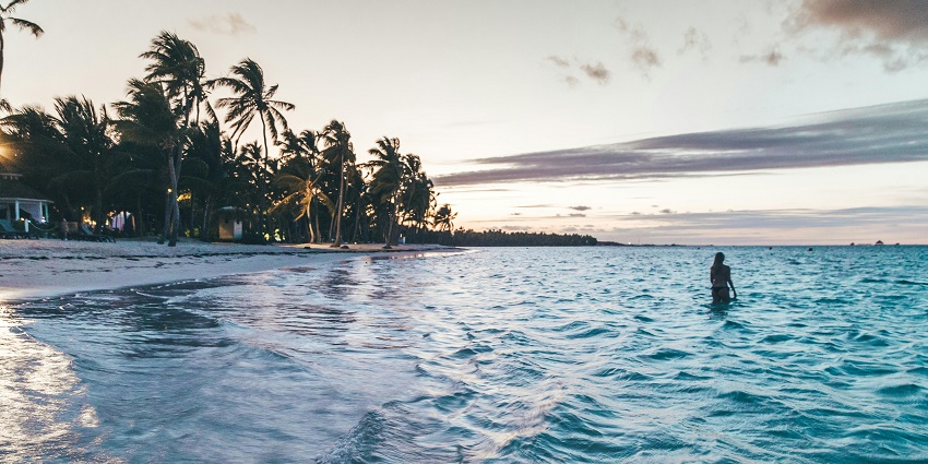 A person stands in the shallow water near a palm-lined beach at sunset.