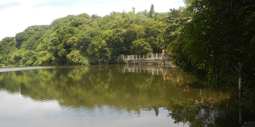A mesmerising view of a national park on a sunny day, situated by the side of a water body.