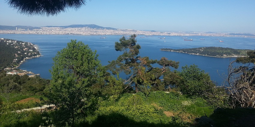 The largest of the Princes' Islands, known for its horse-drawn carriages, pine forests, and Ottoman mansions, is one of the best islands in Turkey.