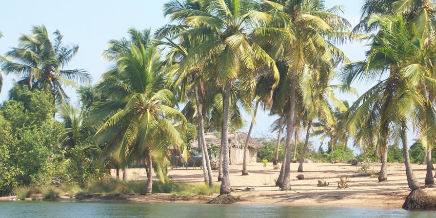 Camp among locals in rustic surroundings near the Volta River.