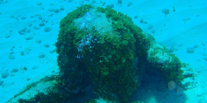 The Cancun, Mexico, underwater museum, one of the historical places to visit in Cancun