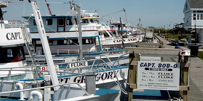 Fish off piers or take a charter boat. Captree State Park is known for saltwater angling.