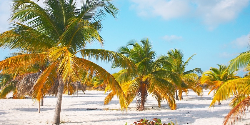 Discover the secluded beaches of Cayo Largo del Sur, among the best islands in Cuba.